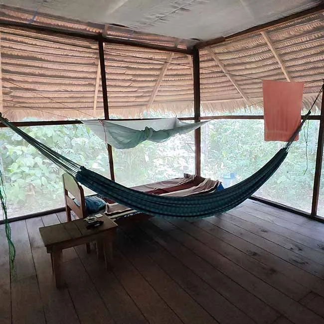 Ayahuasca Retreat with Ayahuasca House