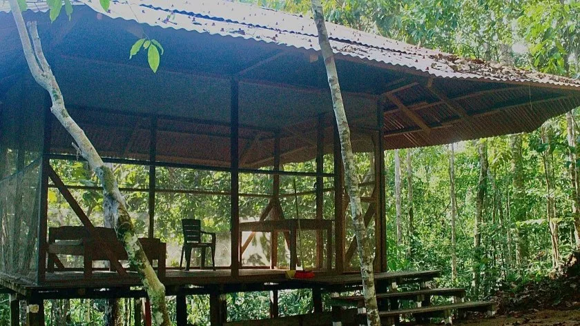 Ayahuasca retreat for 2 weeks