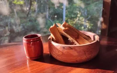 Palo Santo uses and benefits. A sacred plant of South America